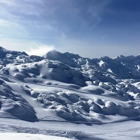 Dandelion House Дом отдыха