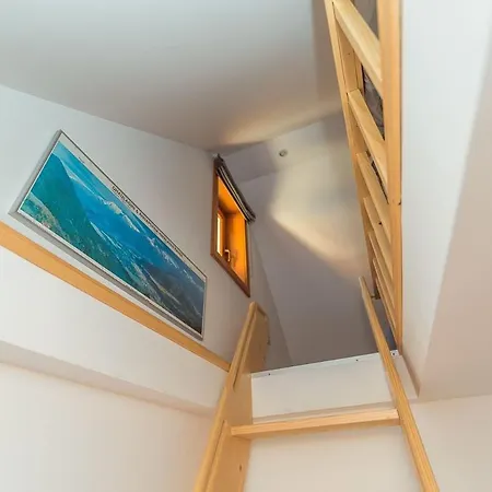 Tatil Evi Dandelion House