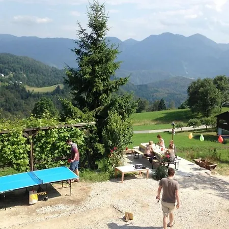 Дом отдыха Dandelion House Поджеле