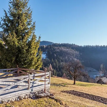 Tatil Evi Dandelion House