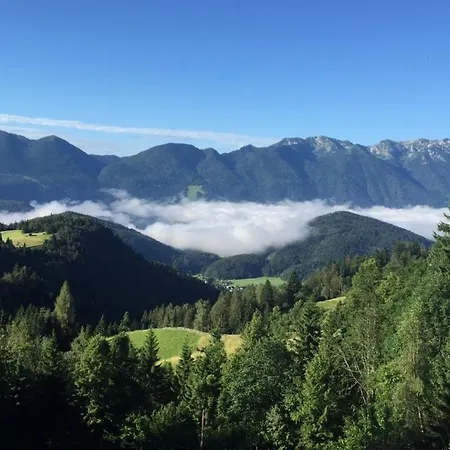 Dandelion House Дом отдыха