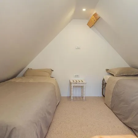 Dandelion House Дом отдыха Поджеле