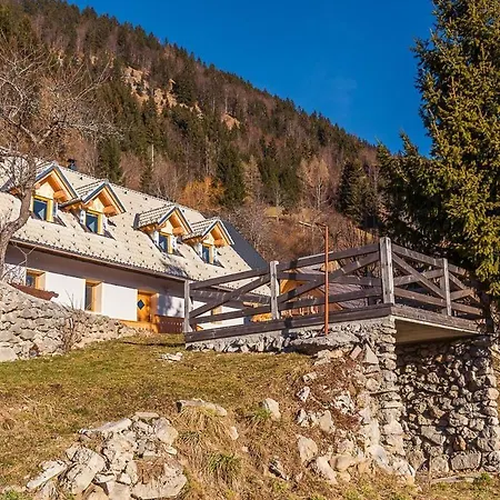Dandelion House Casa vacanze *