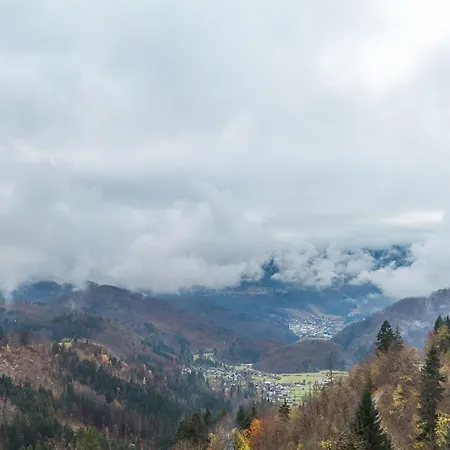 Дом отдыха Dandelion House Поджеле