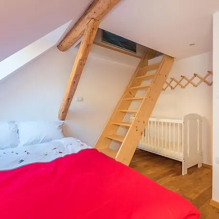 Tatil Evi Dandelion House *
