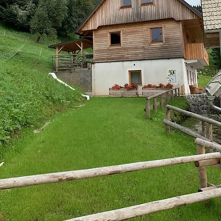Dandelion House * Podjelje