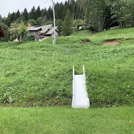 Dandelion House Дом отдыха Поджеле