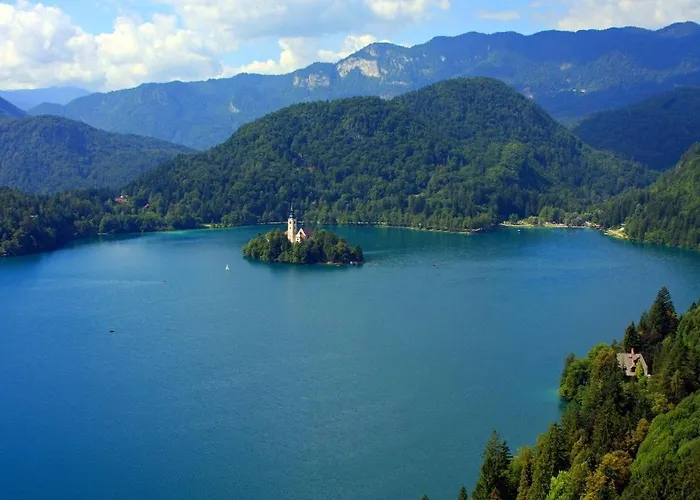 בית נופש Dandelion House