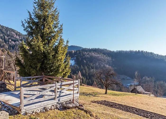 בית נופש Dandelion House