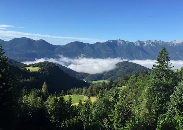 Dandelion House בית נופש