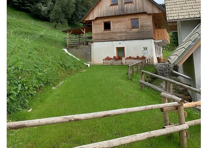 Dandelion House * Podjelje